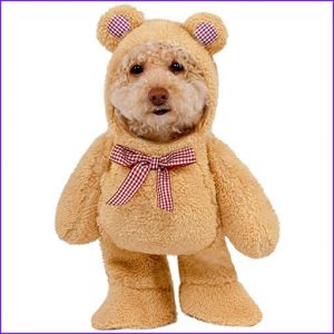 Disfraz oso peluche