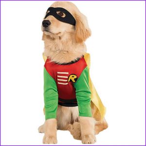 disfraz para perros robin